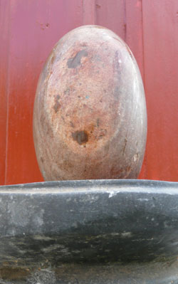 Swajambuh Lingam